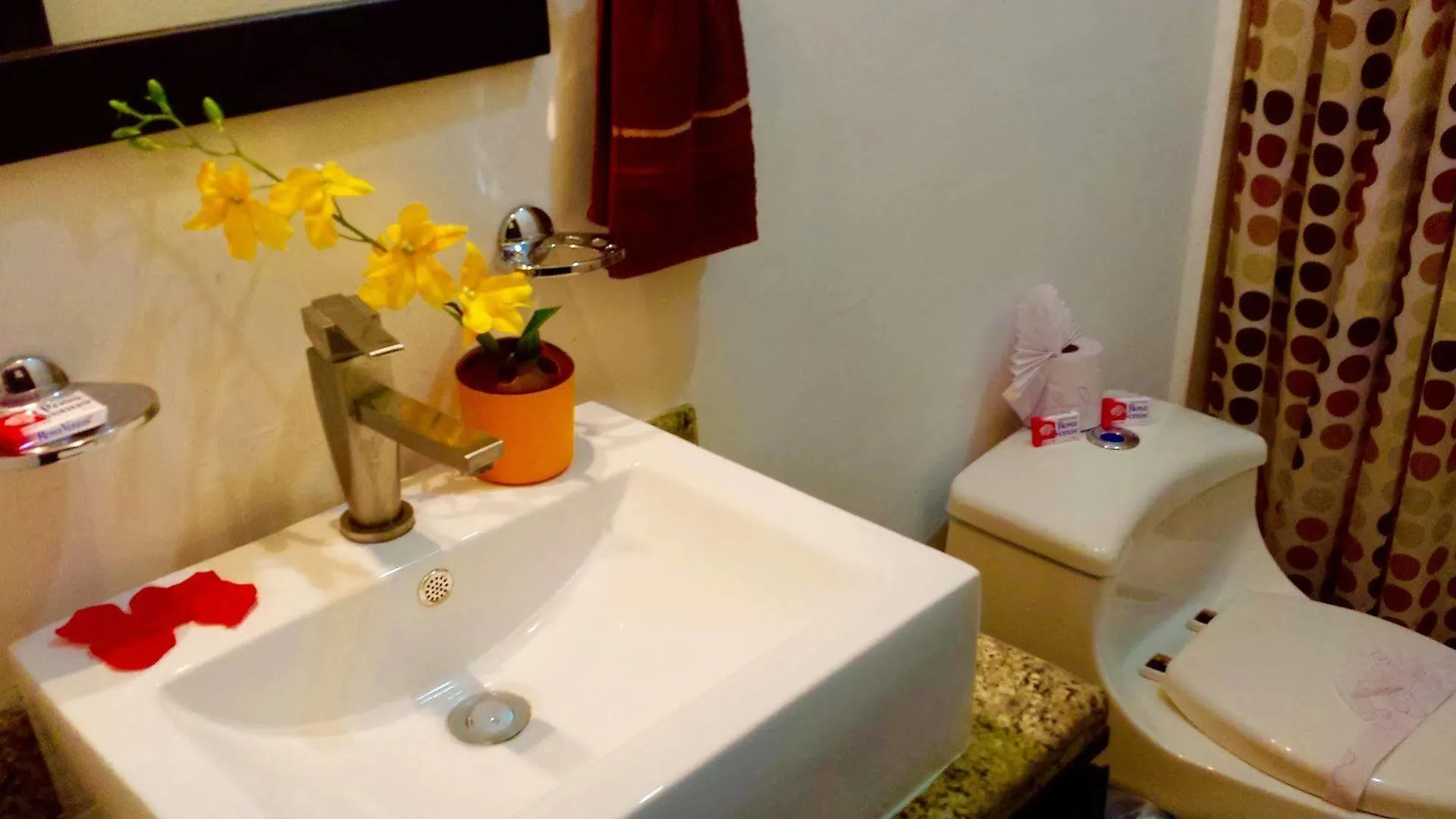 Maya Vacanze Playa Quinta B&B Playa del Carmen Frühstückspension